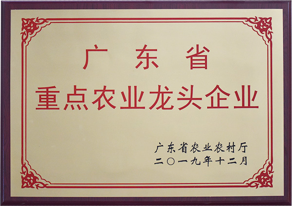 广东省重点农业龙头企业