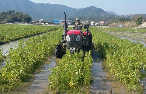 新农人林干松:机械化种稻,品牌化卖米