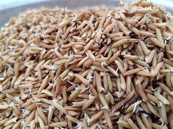 科诚米业抓好2023年春耕生产，提高质量发展